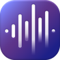 Εικονίδιο του Melody Music apk