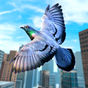 Wild Taube Vogel Stadt Simulator APK