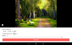 Image Converter - Convert to Webp, Jpg, Png, PDF のスクリーンショットapk 
