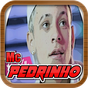 MC Pedrinho - Mínimo Offline APK