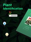 LeafSnap - Plant Identification capture d'écran apk 5