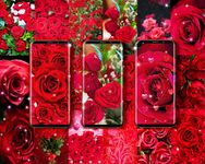 Скриншот 8 APK-версии Red rose live wallpaper