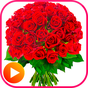 WAStickerApps Roses APK
