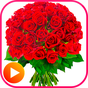 Ikona apk WAStickerApps Roses