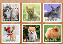 Puzzle Kids Animals & Car screenshot apk 7