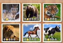 Puzzle Kids Animals & Car screenshot apk 8