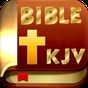 Holy Bible (KJV, NIV)