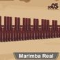 Marimba Real
