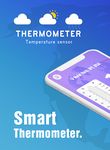 Картинка 3 Thermometer - Hygrometer , Measure Temperature