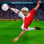 Играть в футбол Кубок :Dream League Sports