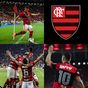 Ícone do apk Noticias do Flamengo