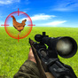 APK-иконка Bird Hunting Chicken Shooting Aim Wild Hen Hunt