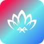 Lotus Lantern 아이콘