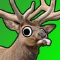 Super Elk Murder 2017 icon