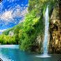 Лесной водопад живые обои