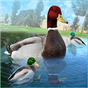 Icône apk Simulateur de famille de canard