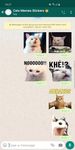 Tangkapan layar apk Baru lucu kucing meme stiker WAStickerApps 6