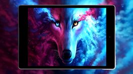 Wolf Hintergrund HD Bild 8