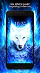 Wolf Hintergrund HD Bild 5