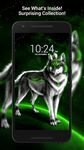 Wolf Hintergrund HD Bild 12