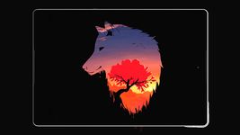 Wolf Hintergrund HD Bild 11