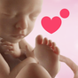 Icono de Preggers - Pregnant & Baby app