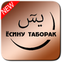 APK-иконка Ёсину Таборак. mp3, арабӣ, кириллӣ ва тарҷумаи он.