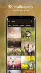 Fondos de pantalla con perros y cachorros 4K captura de pantalla apk 3