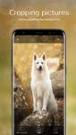 Fondos de pantalla con perros y cachorros 4K captura de pantalla apk 1