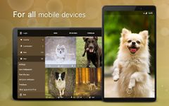 Fondos de pantalla con perros y cachorros 4K captura de pantalla apk 5