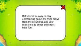 B29 - Rat Killer ảnh số 3