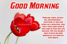 Imagem 1 do Good morning Flower Wallpapers Colorful Roses 4K