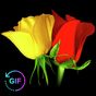 Flowers And Roses Animated Images Gif pictures 4K APK