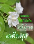 รูปภาพที่ 3 ของ สวัสดีตอนเช้า ธรรมะสวัสดี ตามวัน