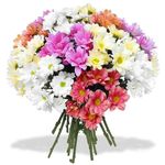 Bouquet de Fleurs image 