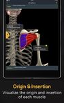 Anatomy by Muscle & Motion ảnh màn hình apk 9