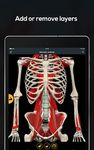 Anatomy by Muscle & Motion ảnh màn hình apk 8