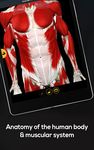 Anatomy by Muscle & Motion ảnh màn hình apk 4