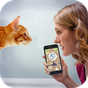 Cat Language Translator Simulator - Talk to Pet