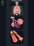 Respiratory System Anatomy captura de pantalla apk 6