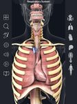 Respiratory System Anatomy captura de pantalla apk 5