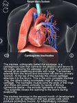 Respiratory System Anatomy captura de pantalla apk 3