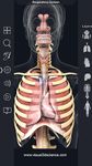 Respiratory System Anatomy captura de pantalla apk 13