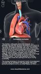 Respiratory System Anatomy captura de pantalla apk 11