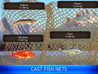 Fish rain: sport fishing 屏幕截图 apk 12