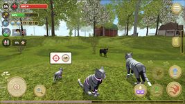 Cat Simulator 2020 screenshot apk 5