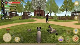 Cat Simulator 2020 ekran görüntüsü APK 4