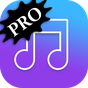 MP3 Music Player - PRO