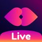 ZAKZAK LIVE: 라이브 비디오 채팅 & 낯선 사람 만나기 아이콘