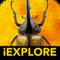 iBugs RA APK